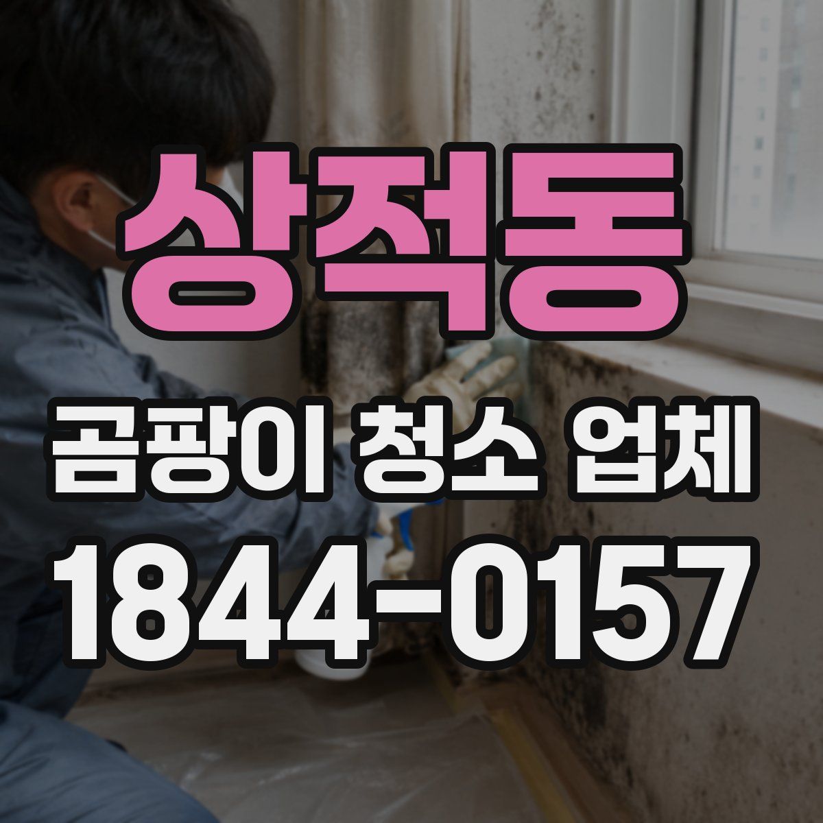 상적동 곰팡이 청소 업체