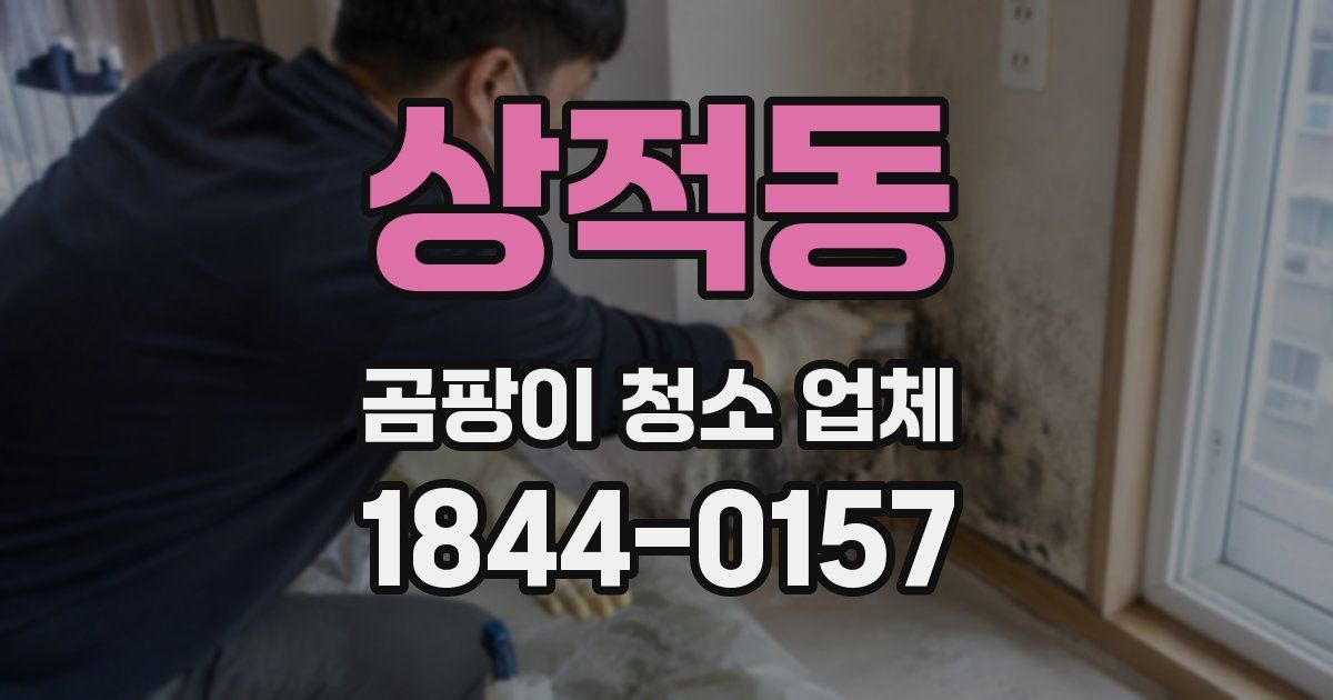 상적동 곰팡이 청소 업체