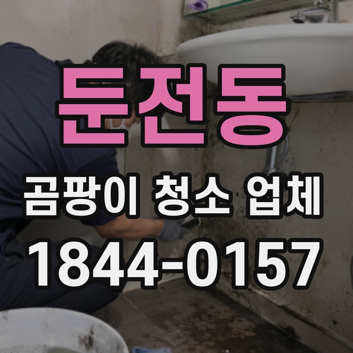 둔전동 곰팡이 청소 업체