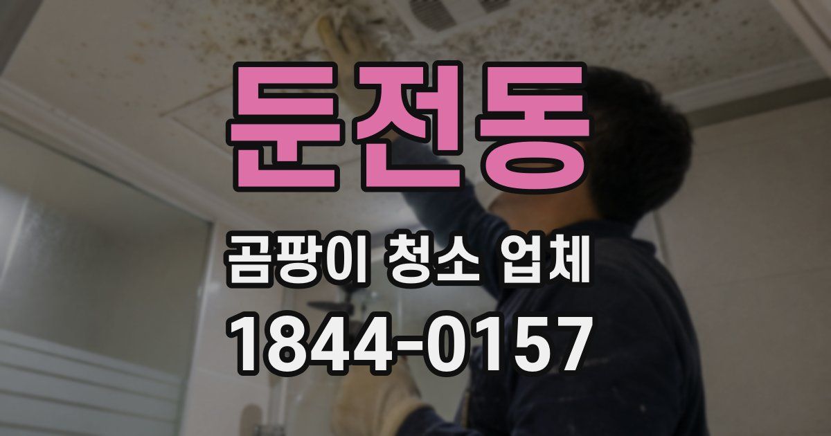 둔전동 곰팡이 청소 업체
