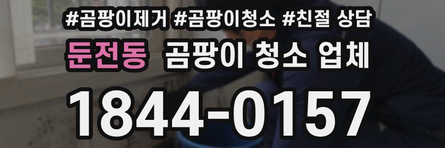 둔전동 곰팡이 청소 업체