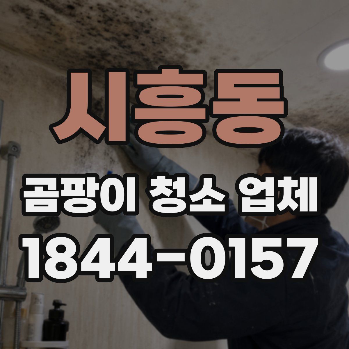 시흥동 곰팡이 청소 업체