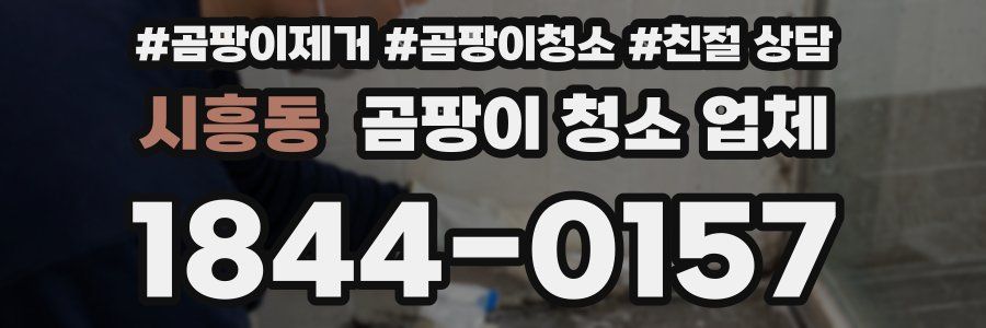 시흥동 곰팡이 청소 업체