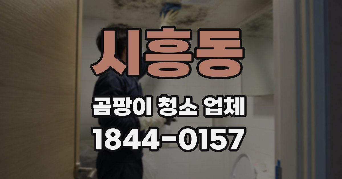 시흥동 곰팡이 청소 업체