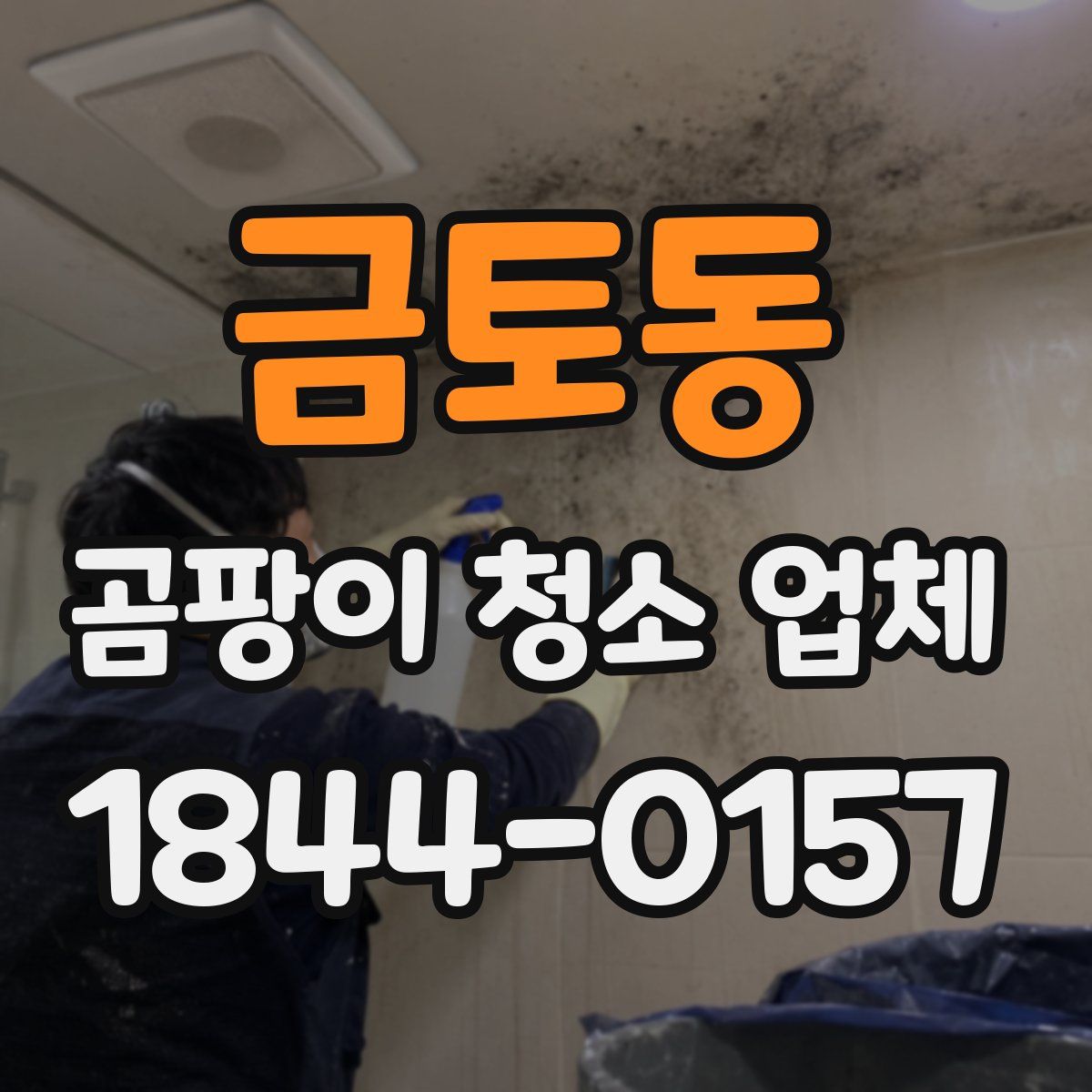 금토동 곰팡이 청소 업체