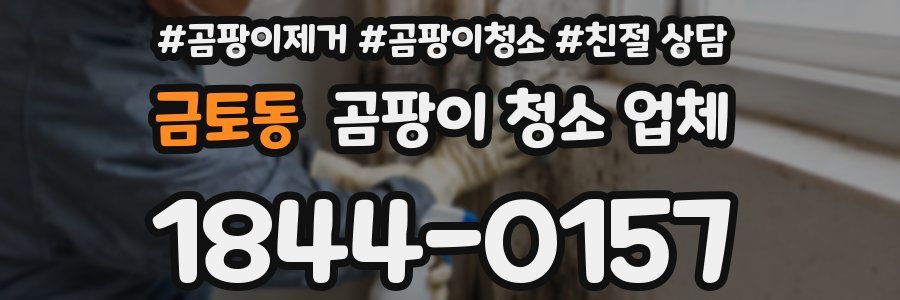 금토동 곰팡이 청소 업체