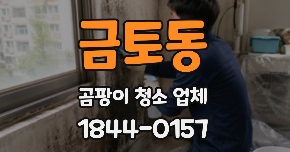 금토동 곰팡이 청소 업체