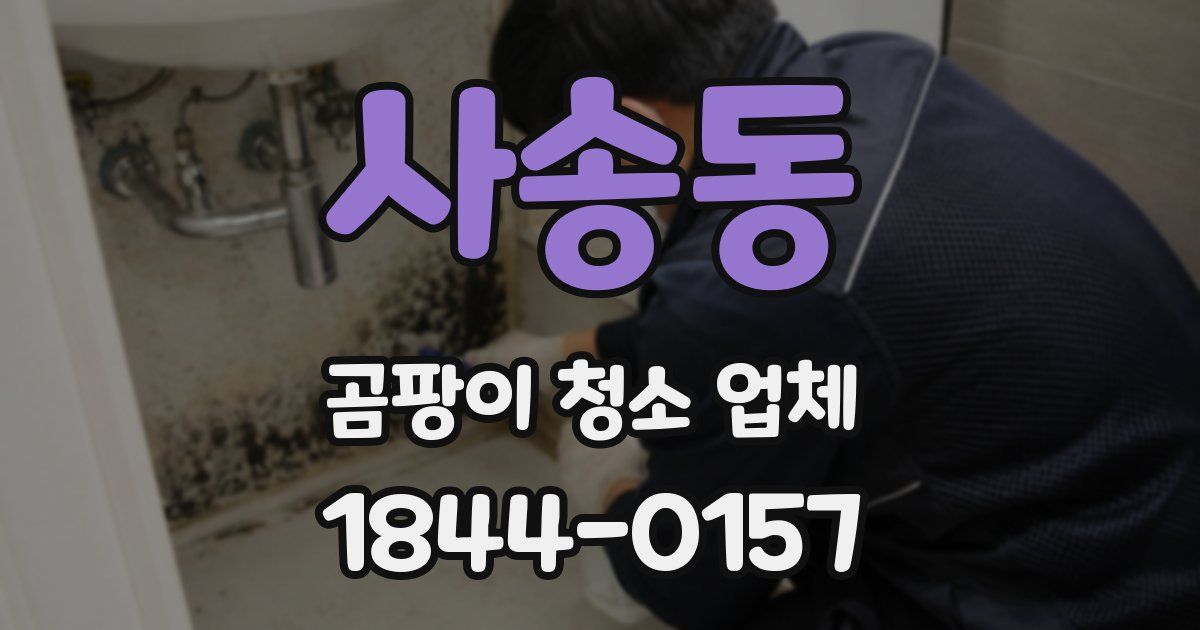 사송동 곰팡이 청소 업체