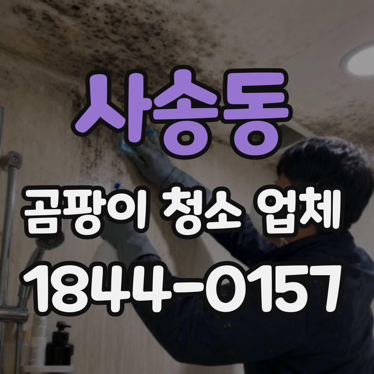 사송동 곰팡이 청소 업체