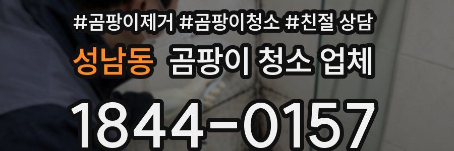 성남동 곰팡이 청소 업체
