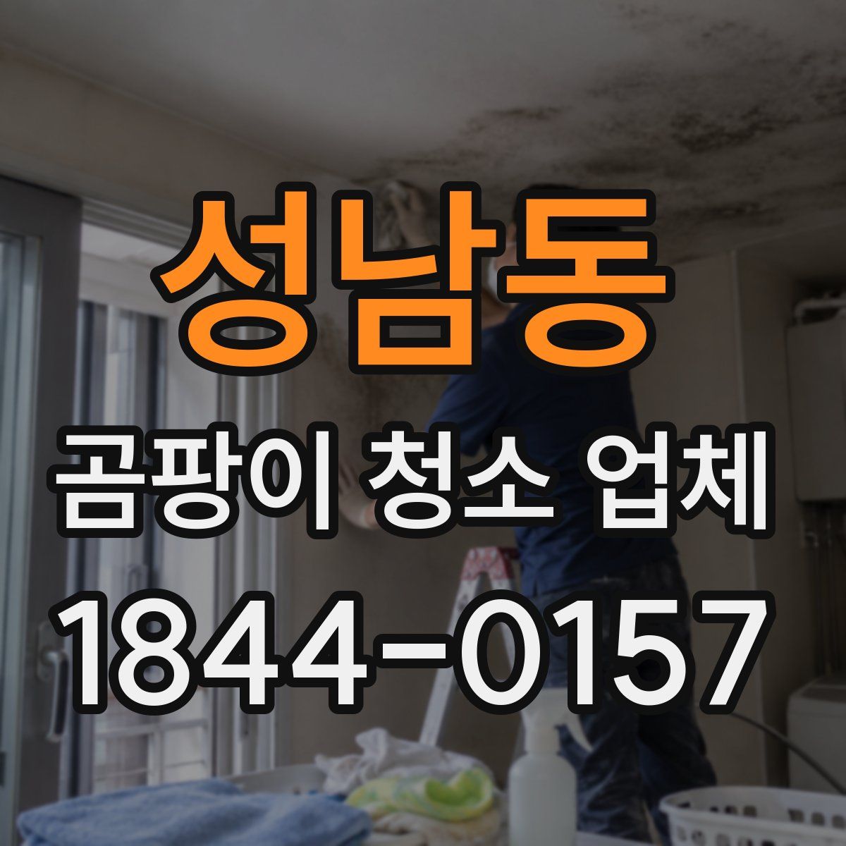 성남동 곰팡이 청소 업체