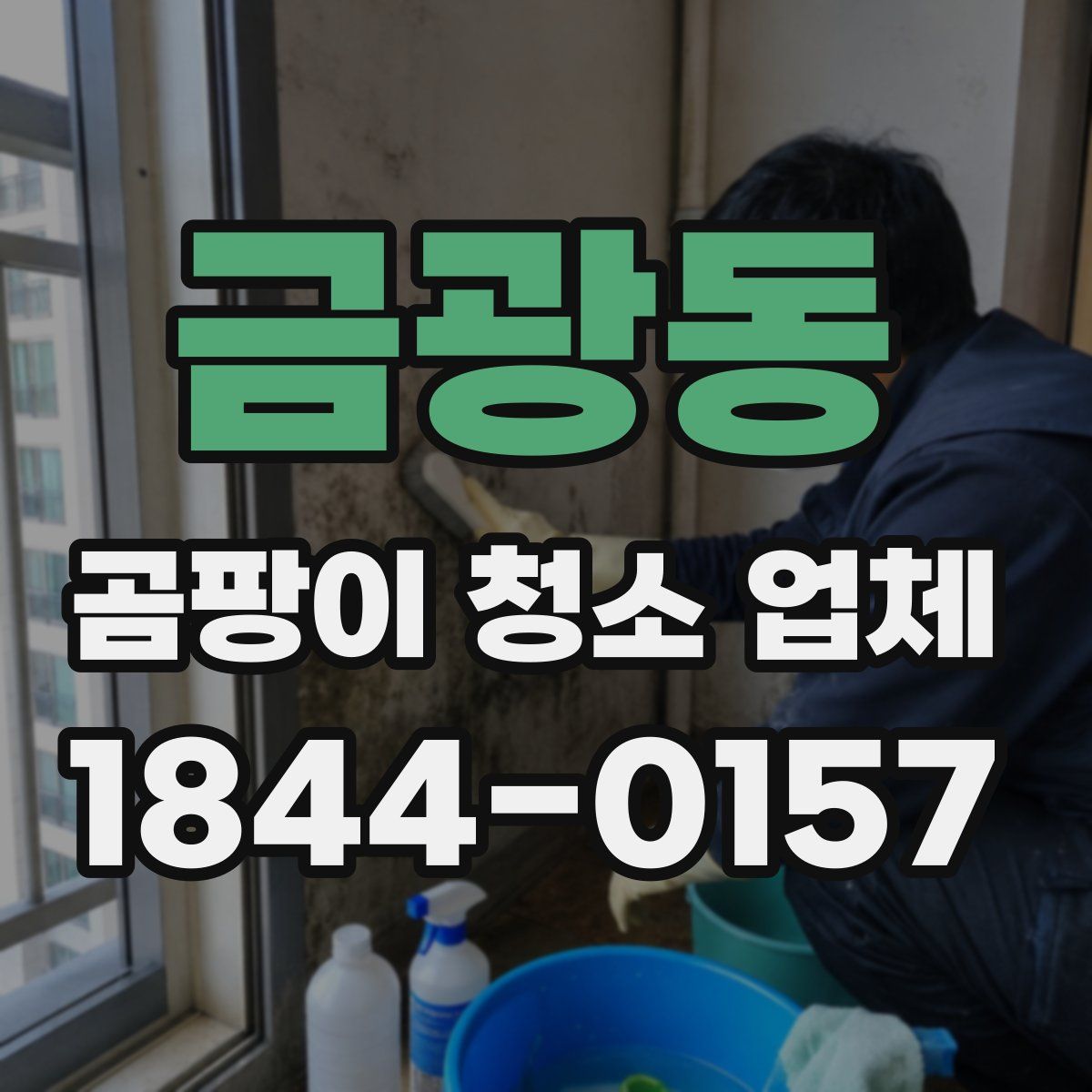 금광동 곰팡이 청소 업체