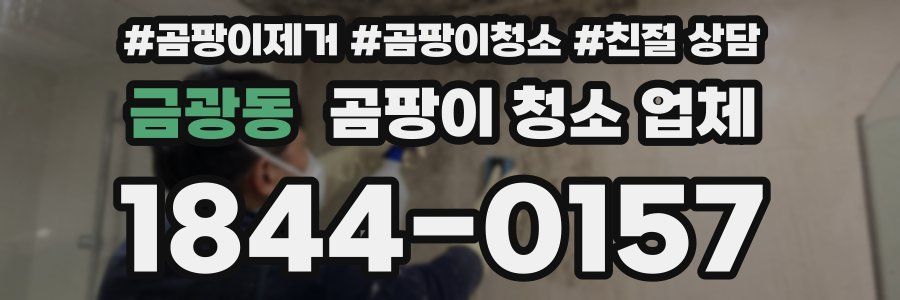 금광동 곰팡이 청소 업체