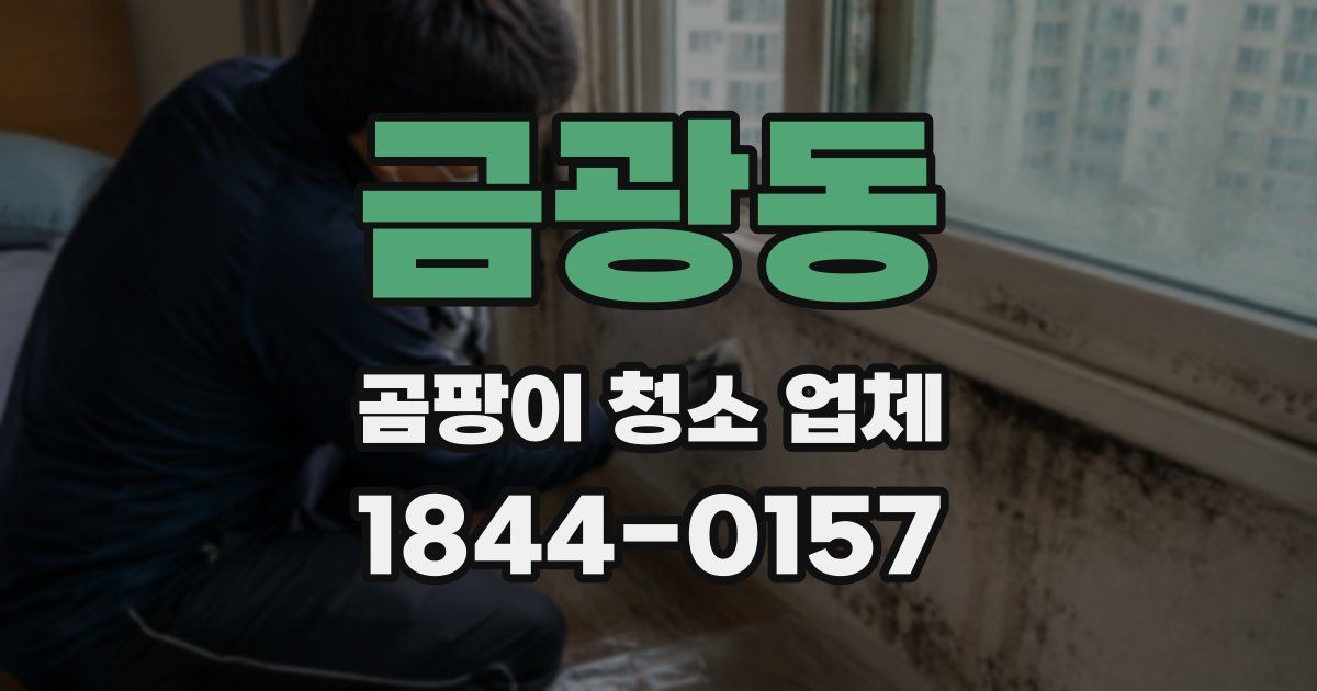 금광동 곰팡이 청소 업체