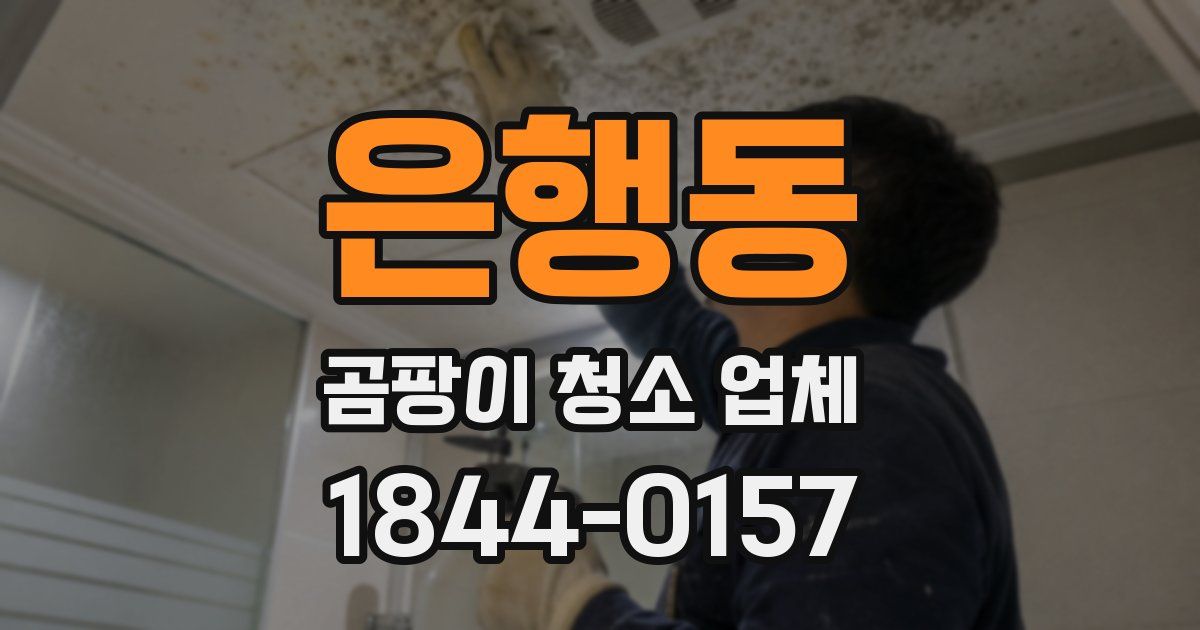 은행동 곰팡이 청소 업체