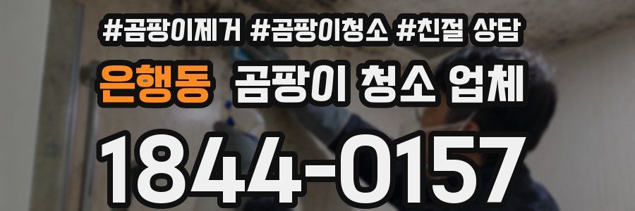 은행동 곰팡이 청소 업체