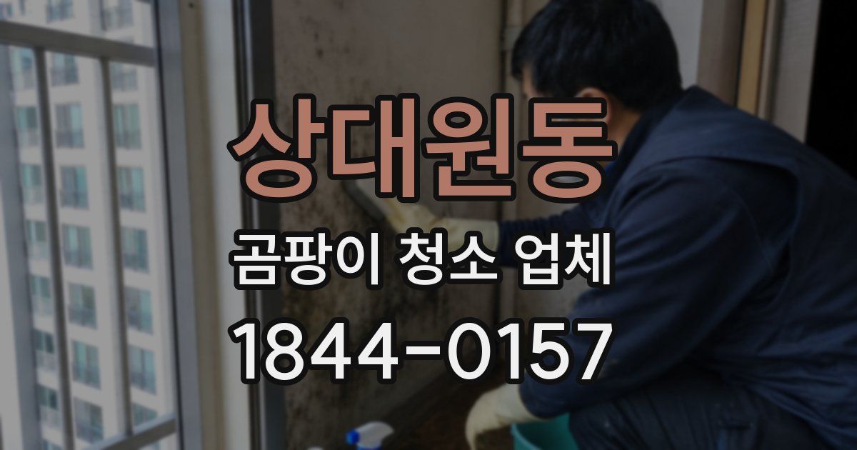 상대원동 곰팡이 청소 업체