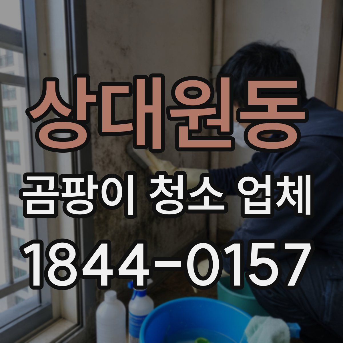 상대원동 곰팡이 청소 업체