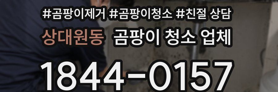 상대원동 곰팡이 청소 업체