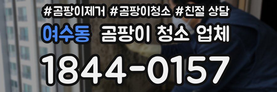 여수동 곰팡이 청소 업체