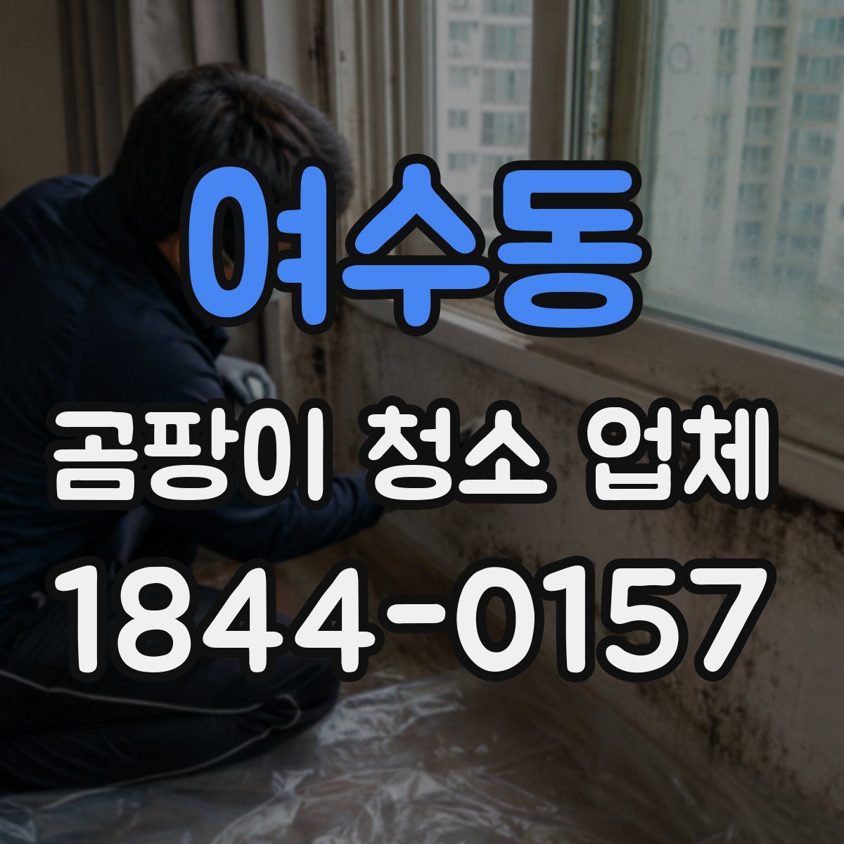 여수동 곰팡이 청소 업체