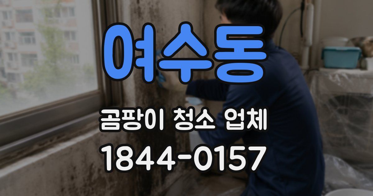 여수동 곰팡이 청소 업체