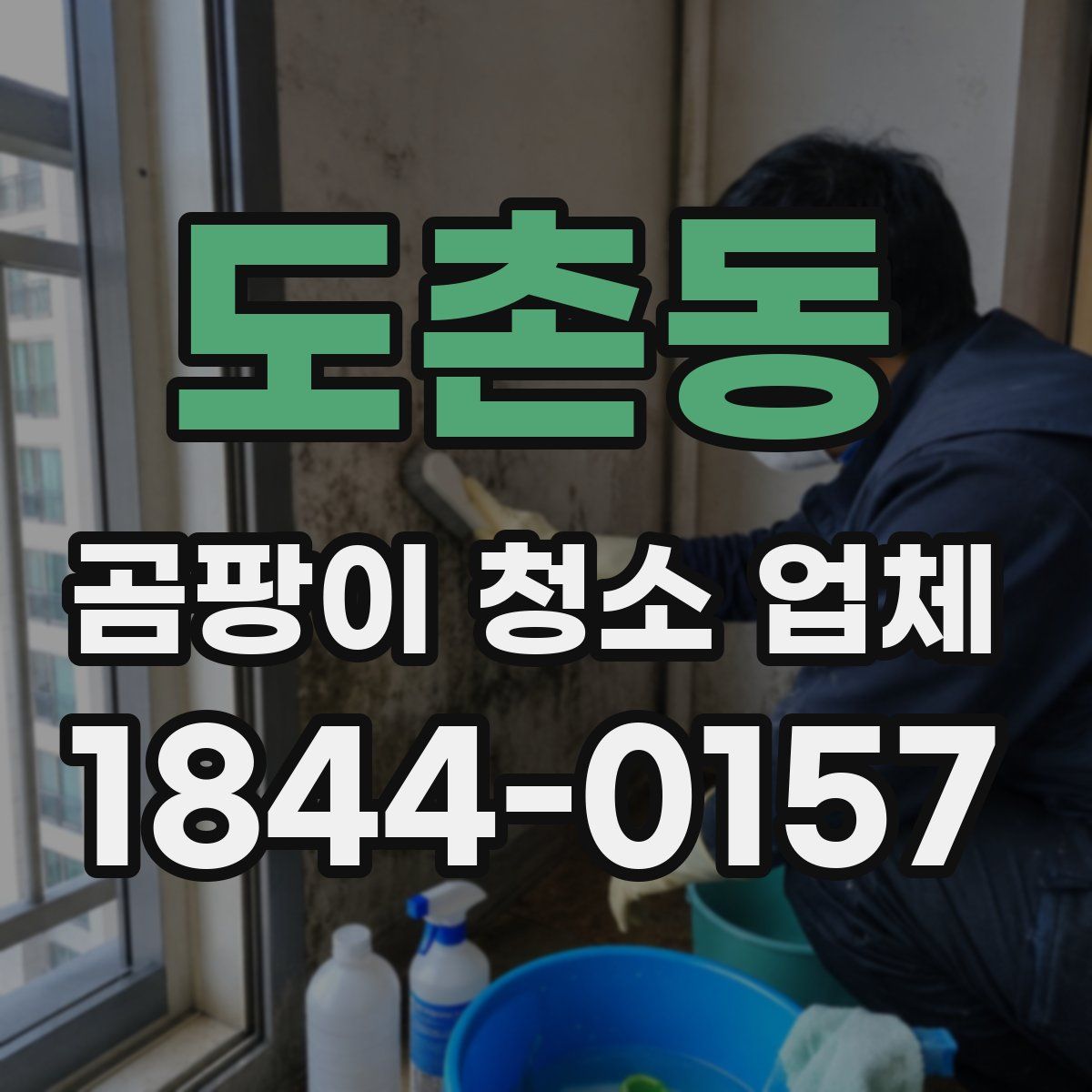 도촌동 곰팡이 청소 업체