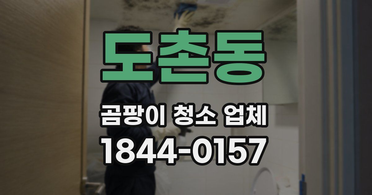 도촌동 곰팡이 청소 업체