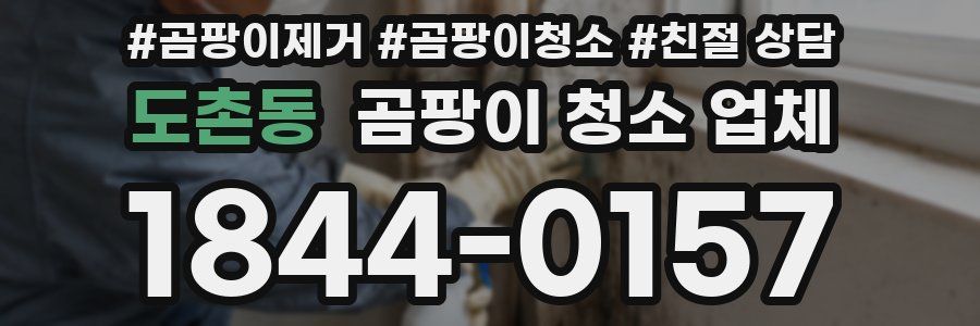 도촌동 곰팡이 청소 업체