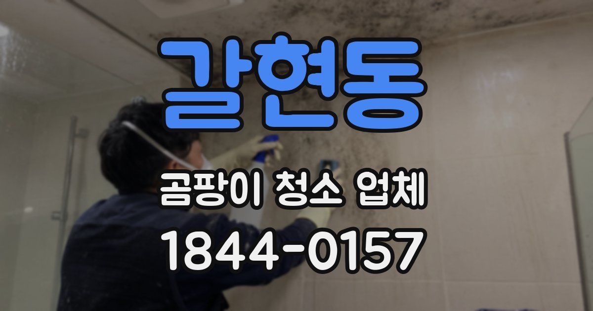갈현동 곰팡이 청소 업체