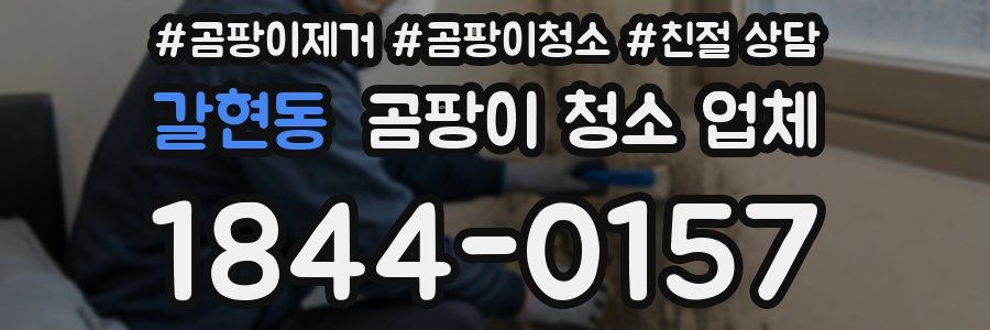 갈현동 곰팡이 청소 업체