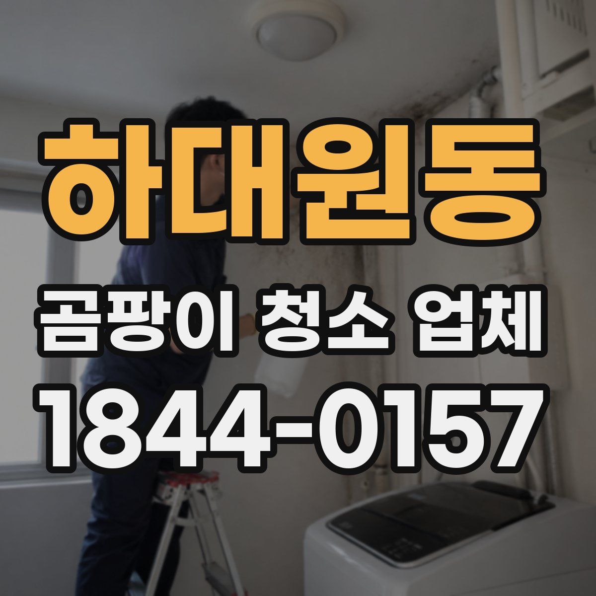 하대원동 곰팡이 청소 업체
