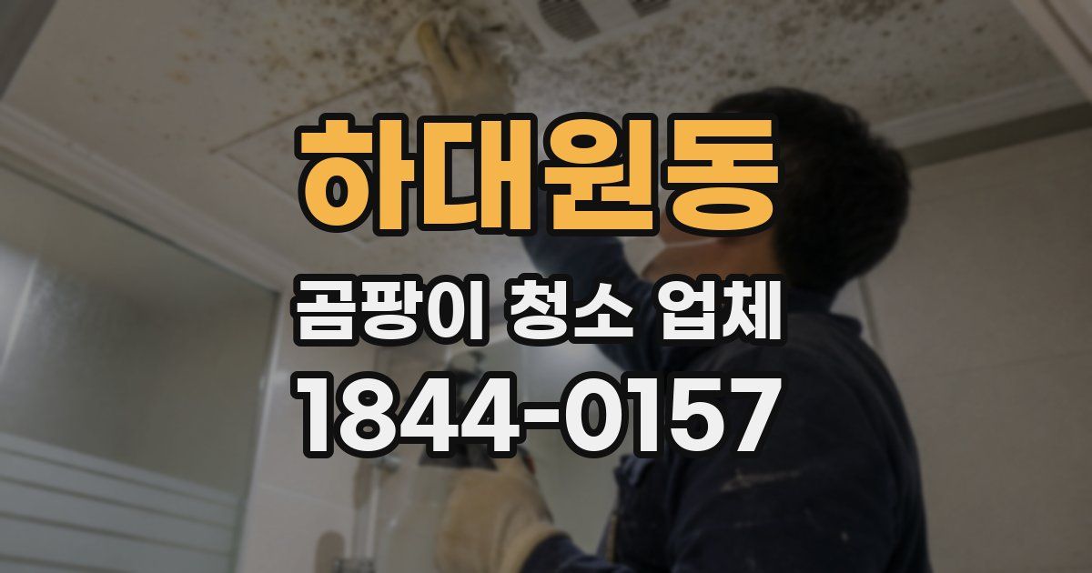 하대원동 곰팡이 청소 업체