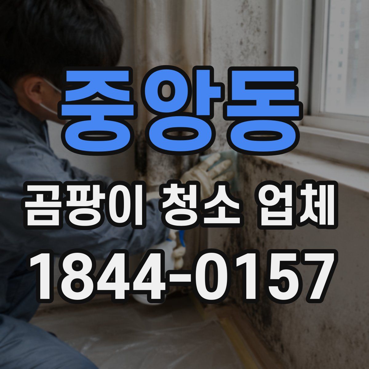 중앙동 곰팡이 청소 업체