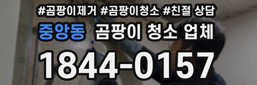 중앙동 곰팡이 청소 업체