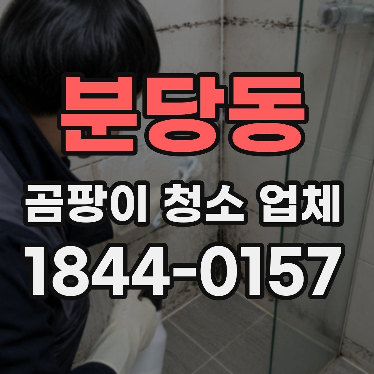 분당동 곰팡이 청소 업체 알아볼 때 체크리스트