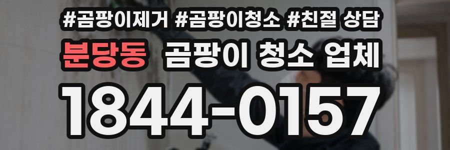 분당동 곰팡이 청소 업체