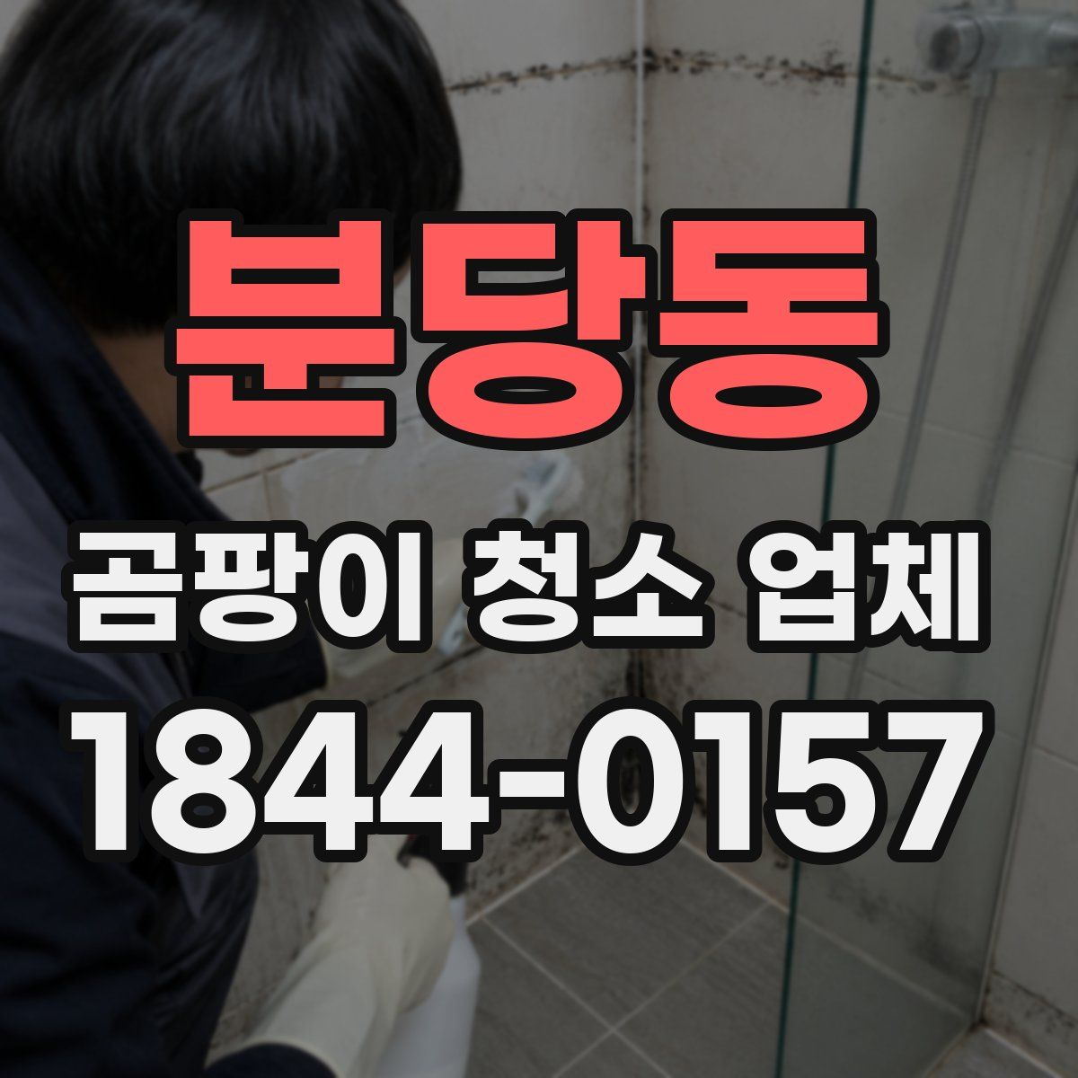 분당동 곰팡이 청소 업체