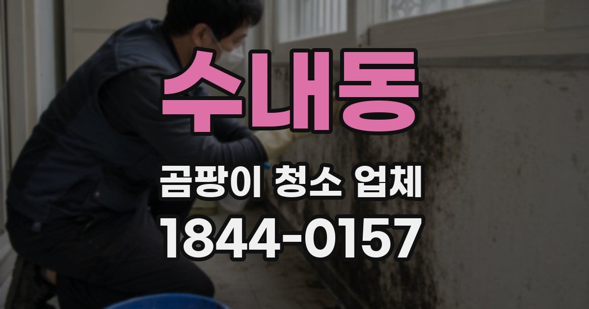 수내동 곰팡이 청소 업체
