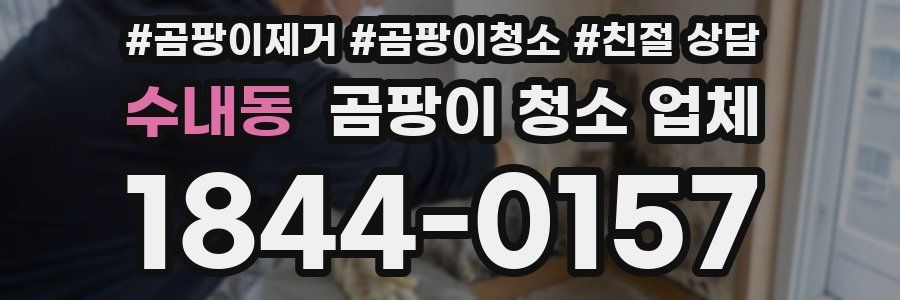수내동 곰팡이 청소 업체
