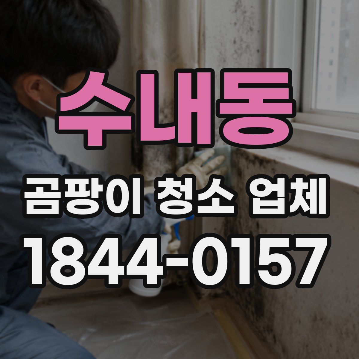 수내동 곰팡이 청소 업체
