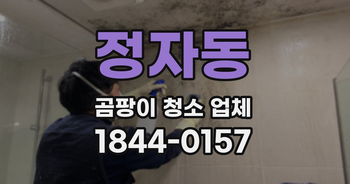 정자동 곰팡이 청소 업체