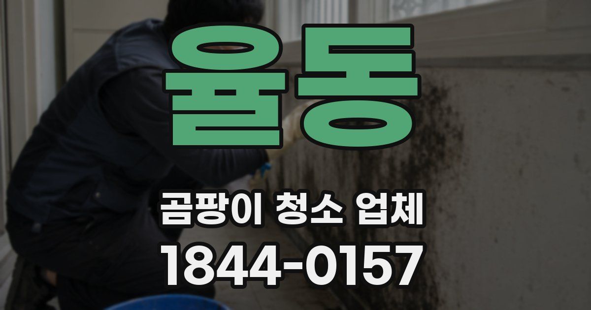 율동 곰팡이 청소 업체
