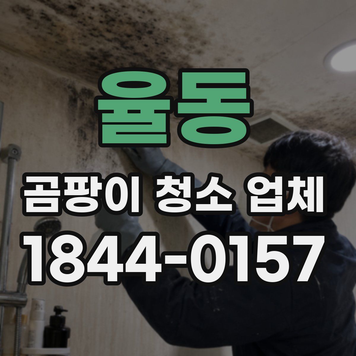 율동 곰팡이 청소 업체