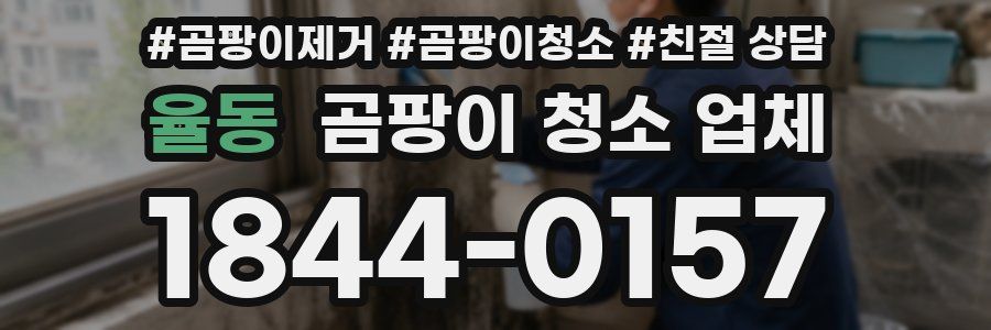 율동 곰팡이 청소 업체