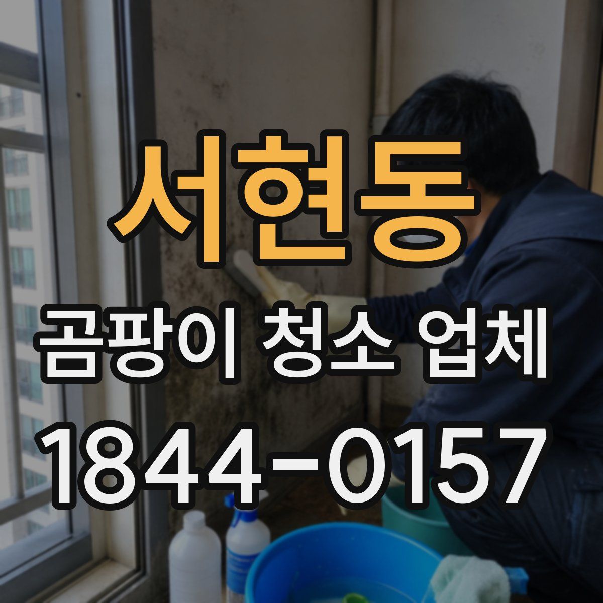 서현동 곰팡이 청소 업체