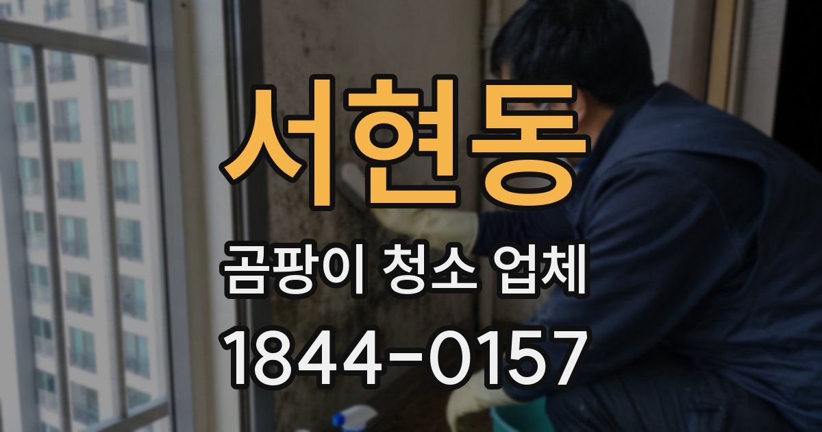 서현동 곰팡이 청소 업체