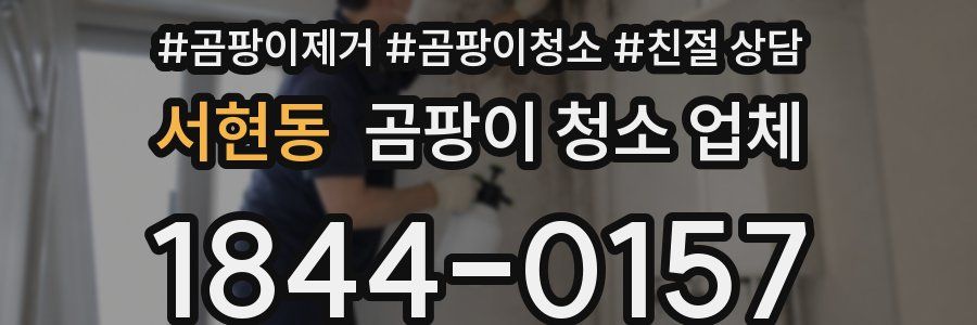 서현동 곰팡이 청소 업체
