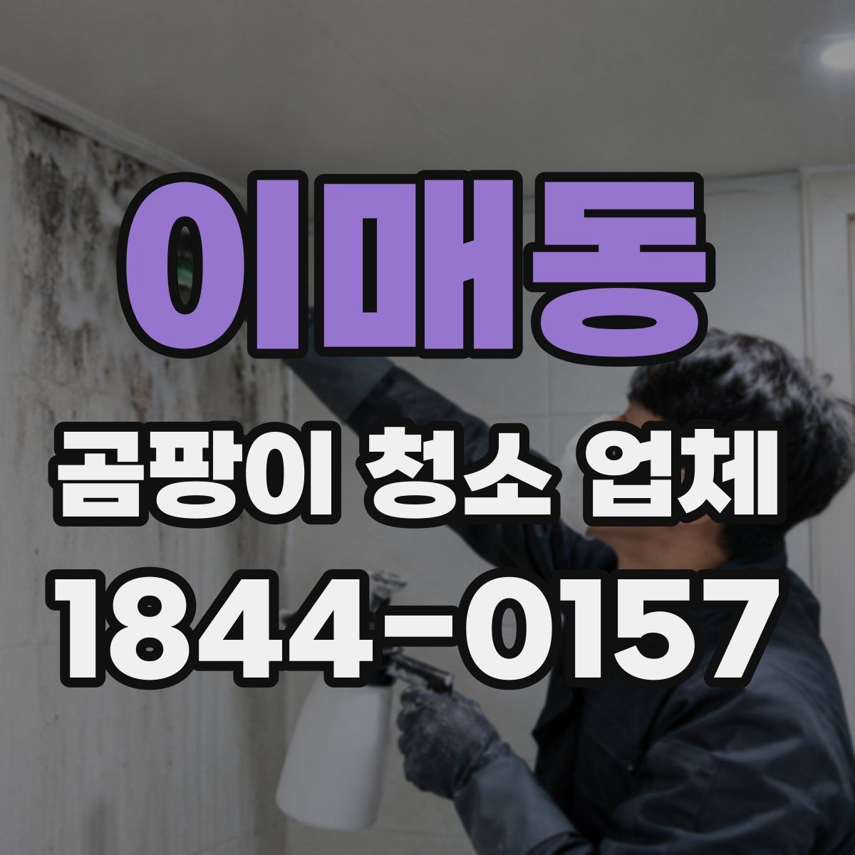이매동 곰팡이 청소 업체