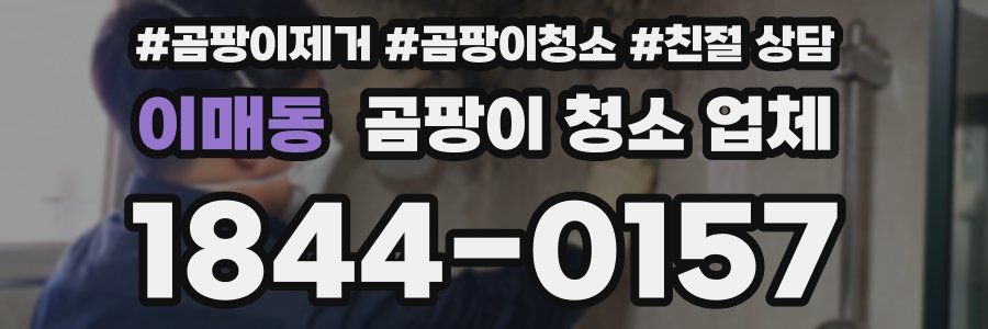 이매동 곰팡이 청소 업체